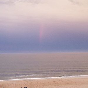 Meet your Posher, Barry